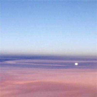 幻想岛奇遇bt版下载